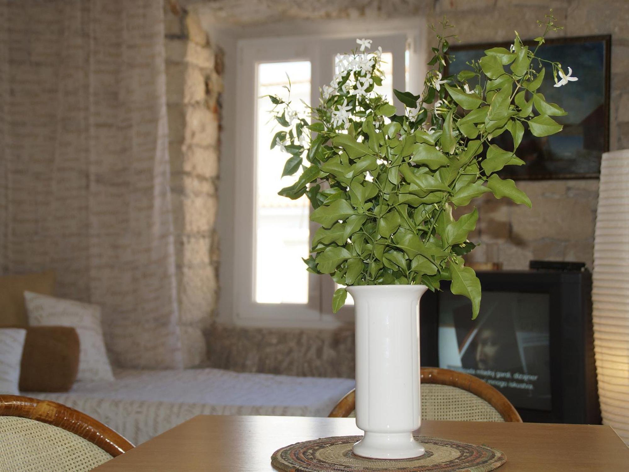 Apartments Stelina Korčula Rum bild